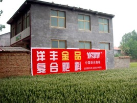 石泉如何让墙体广告展现最大化效果