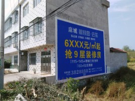  石泉墙体广告质量分析