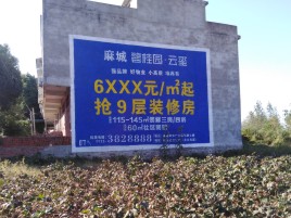 石泉品牌公司青睐的墙体广告
