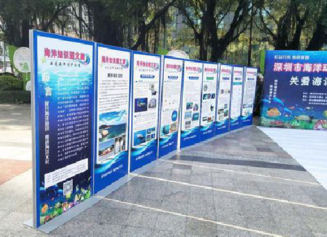  石泉KT板的种类和知识。